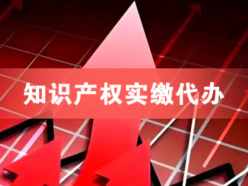保山知识产权实缴资本代办